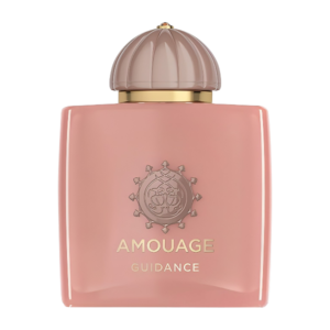 عطر ادکلن آمواج گایدنس مستر کوالیتی 100 میل هندا پرفیوم
