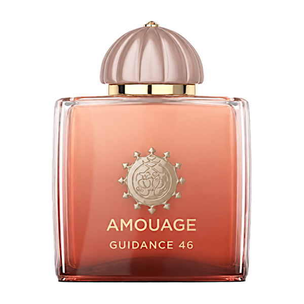 عطر ادکلن آمواج گایدنس 46 مستر کوالیتی 100 میل | Amouage Guidance 46